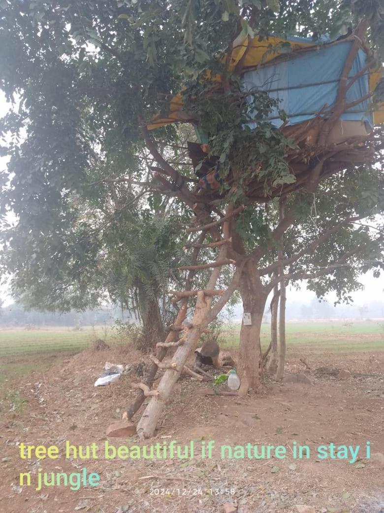 Maji Homestay Khajurāho Exterior foto